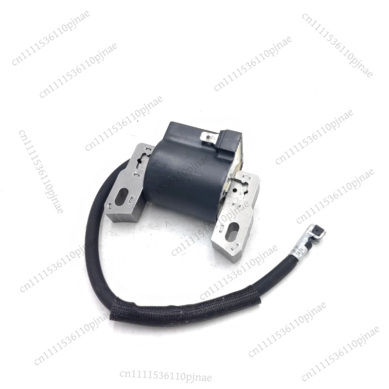 Ignition Coil Module 590454 80 – Outdoor Power Module recenzja i cena